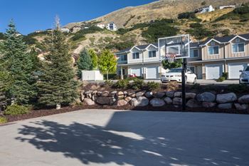 Basketball court